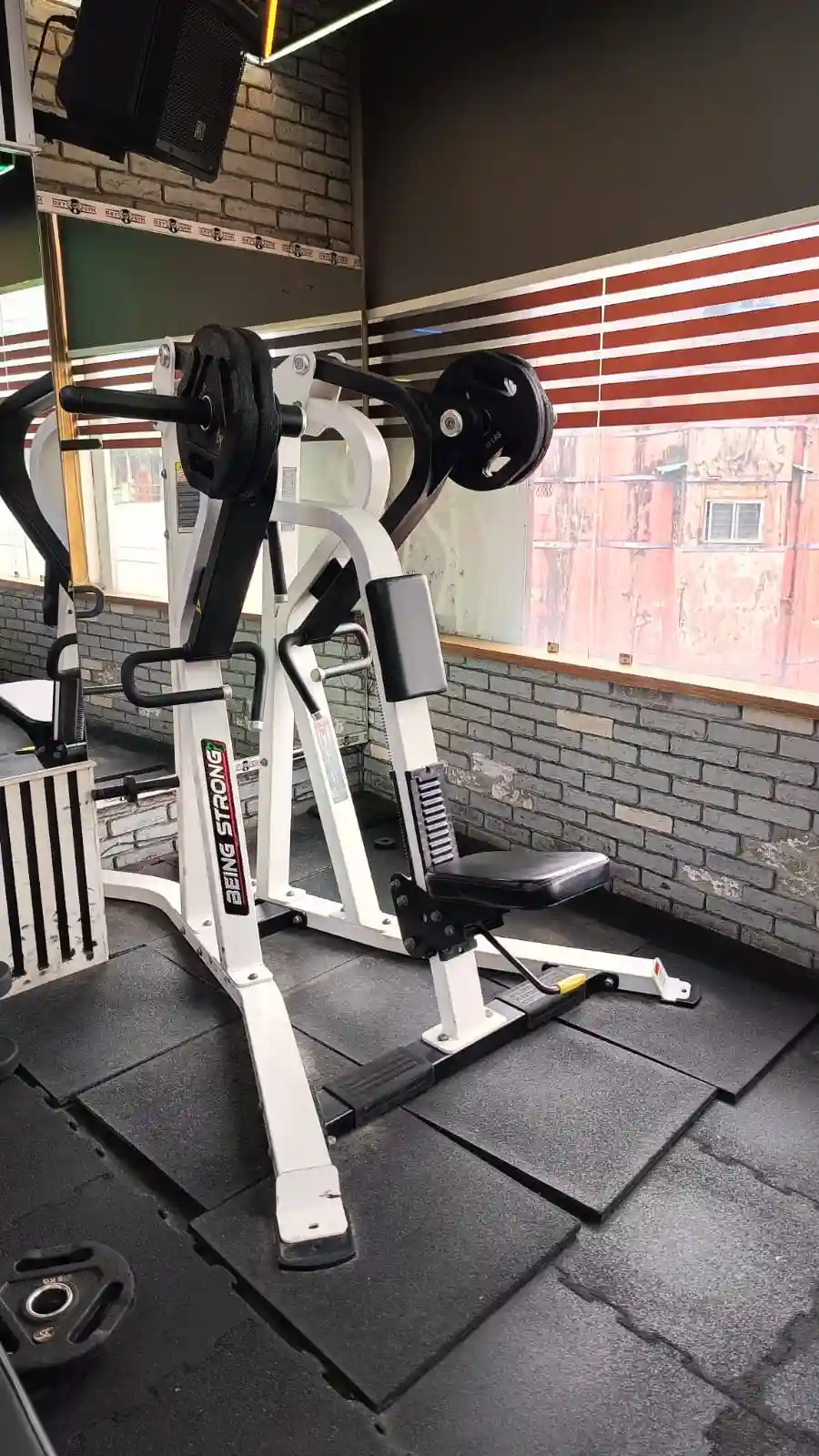 Heavy-Duty Back Pull Machine